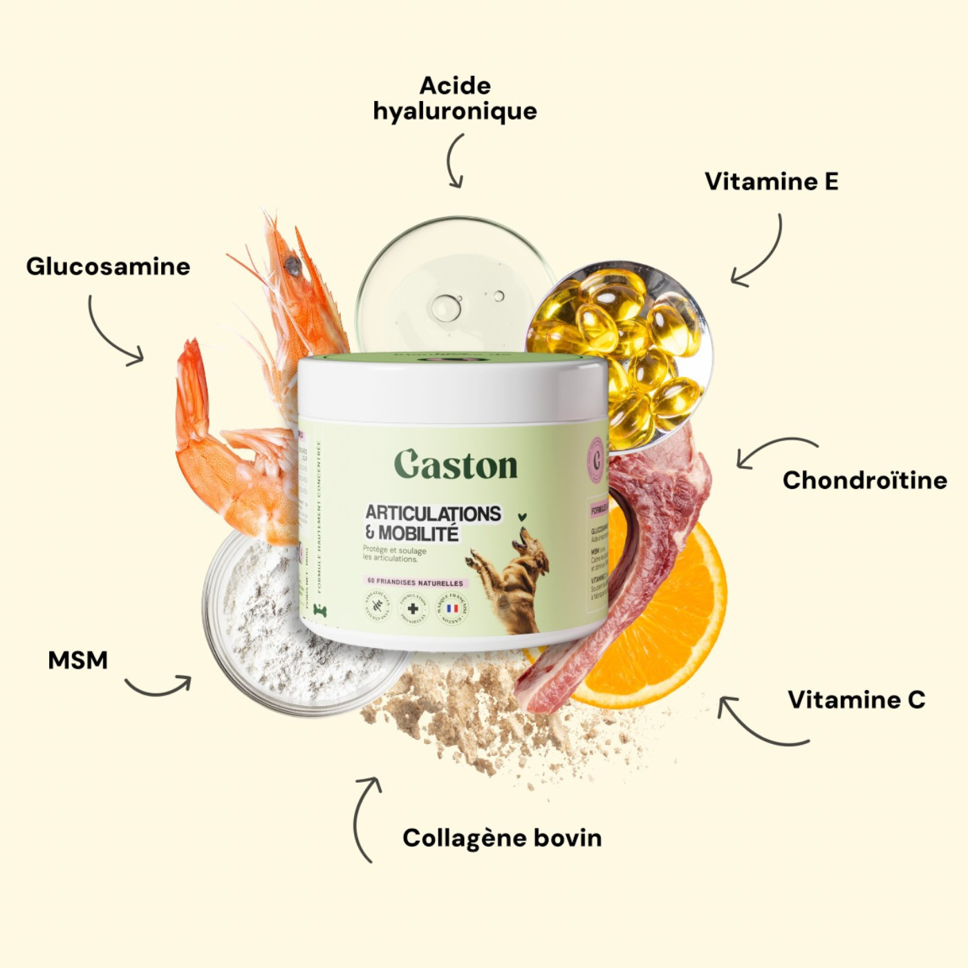 Articulation & Mobilité