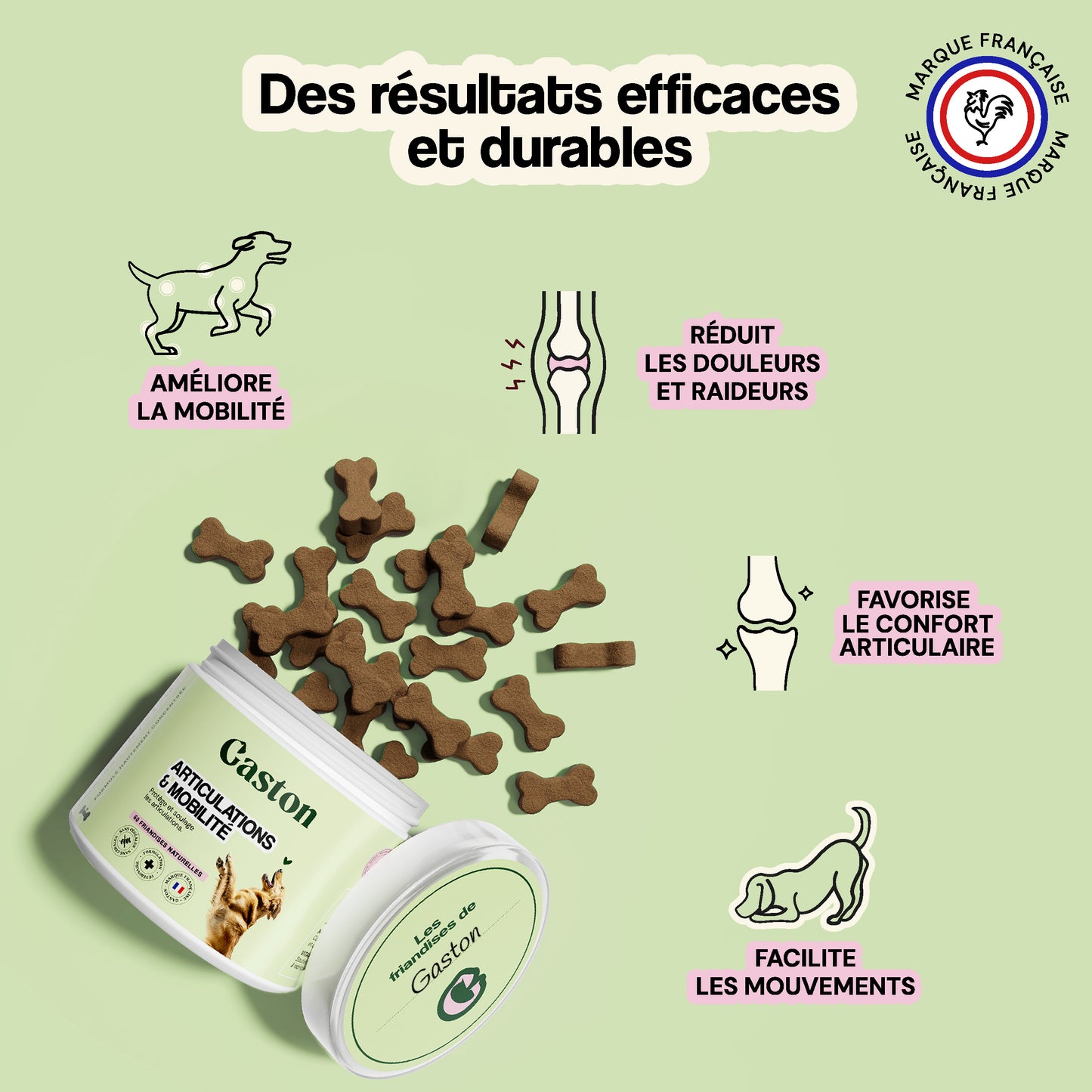 Articulation & Mobilité