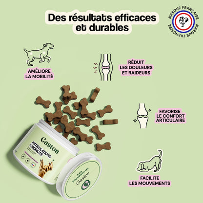 Articulation & Mobilité