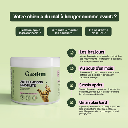 Articulation & Mobilité