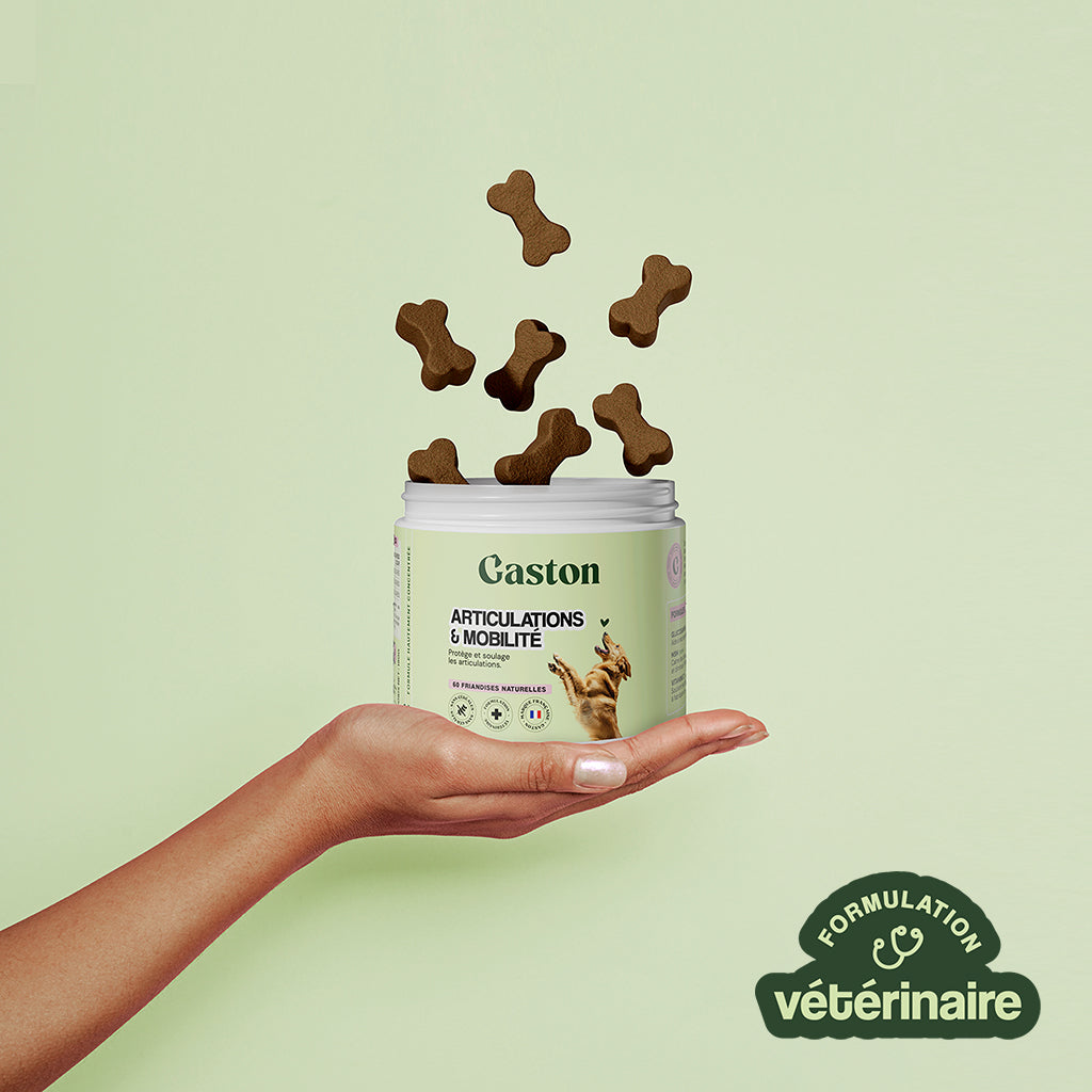 Articulation & Mobilité