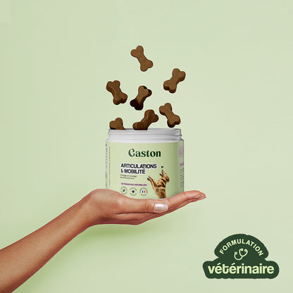 Articulation & Mobilité