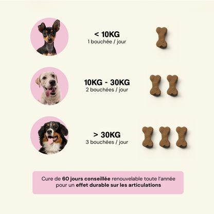 Articulation & Mobilité