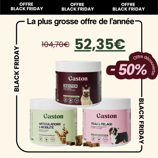 Pack Black Friday (Edition limité)